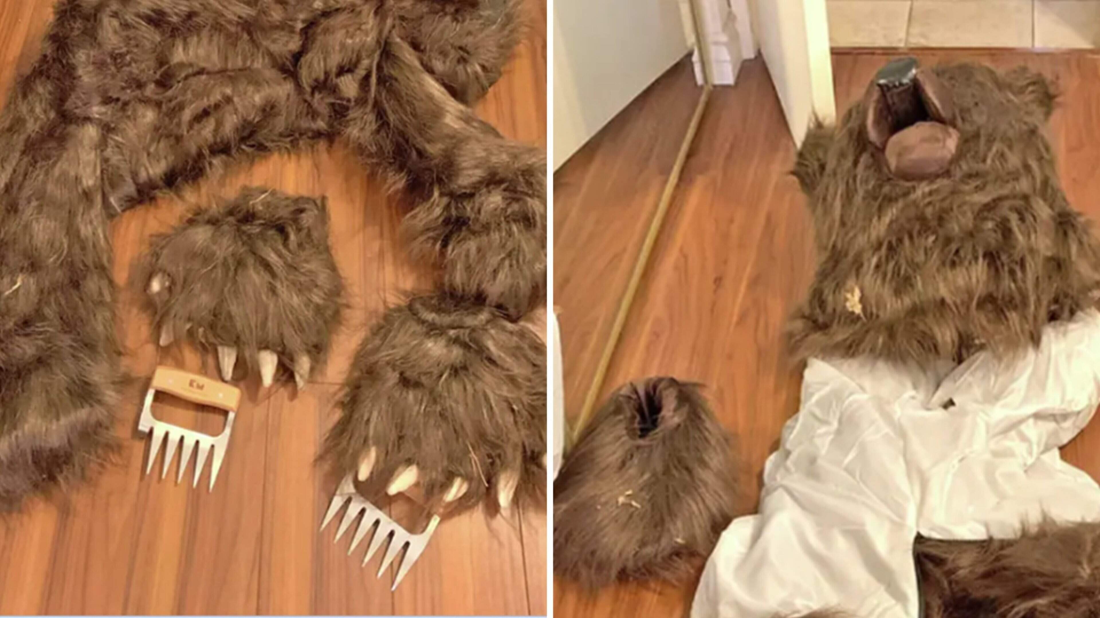 Groep mannen opgepakt voor bizarre oplichting met berenpak